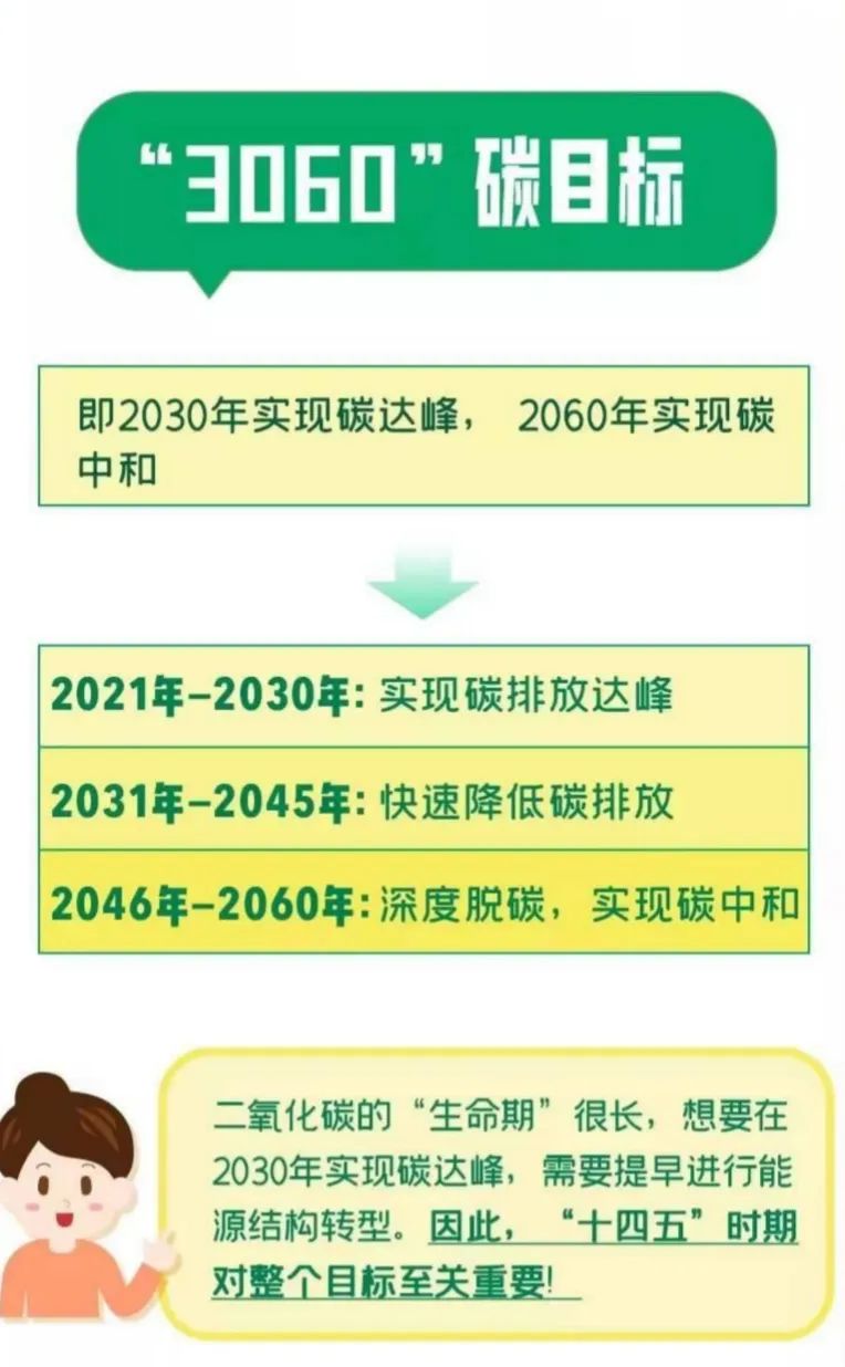 632be39c32c56.jpg